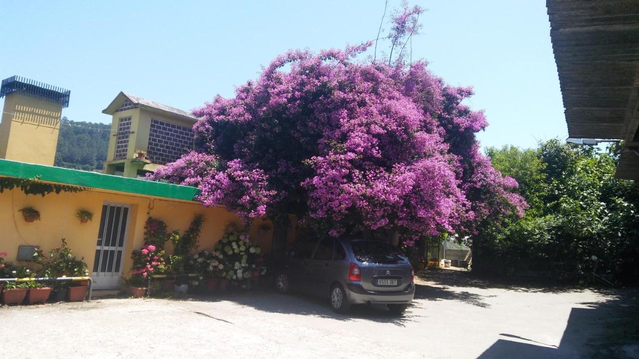 Albergue O Corisco 雷东德拉 外观 照片